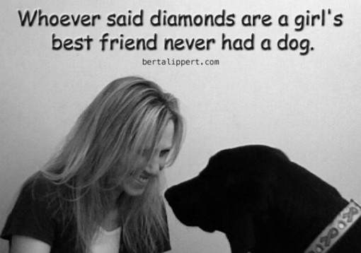 diamonds best friend never had dog