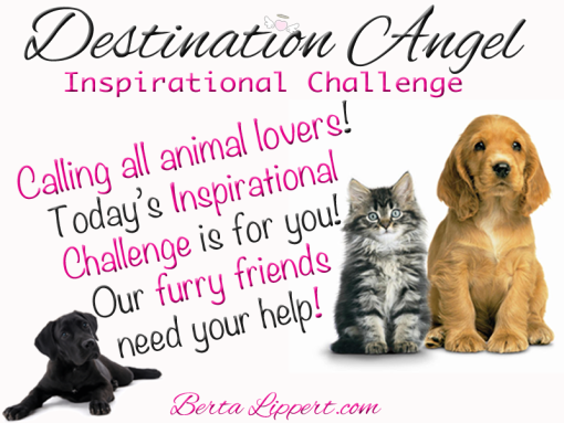 destination-angel-furry-friends-inspirational-challenge