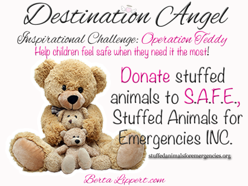 destination-angel-inspirational-challenge-operation-teddy